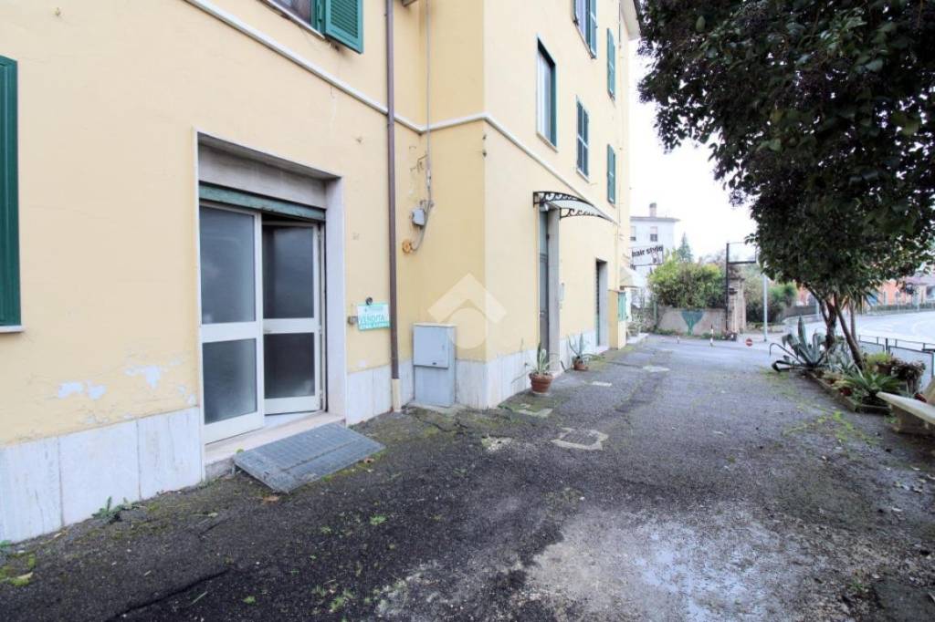 immagine annuncio 11 di 14