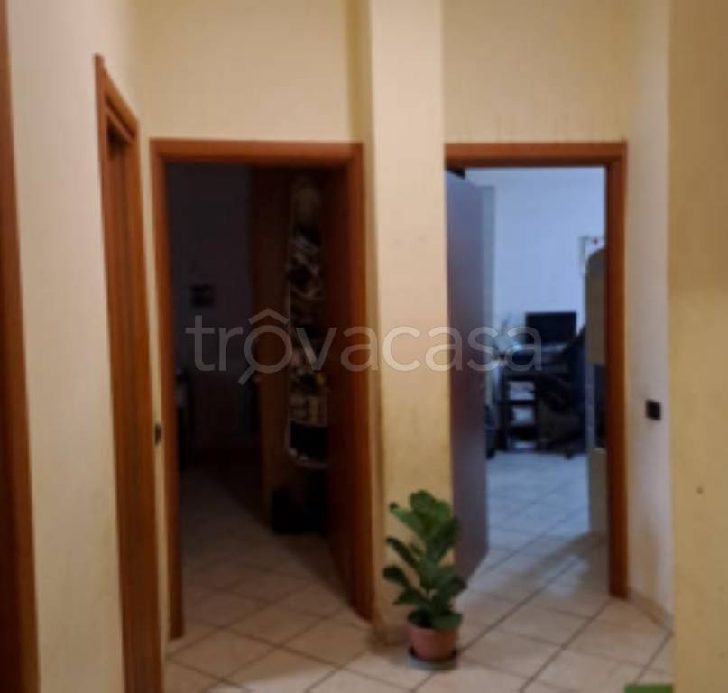 immagine annuncio 8 di 12
