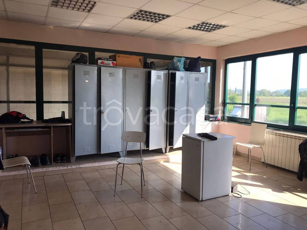 immagine annuncio 2 di 4