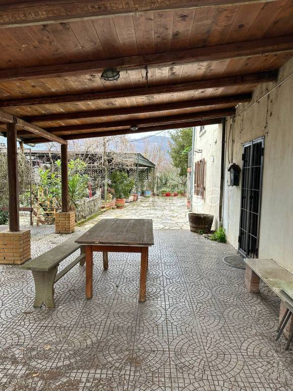 immagine annuncio 12 di 14