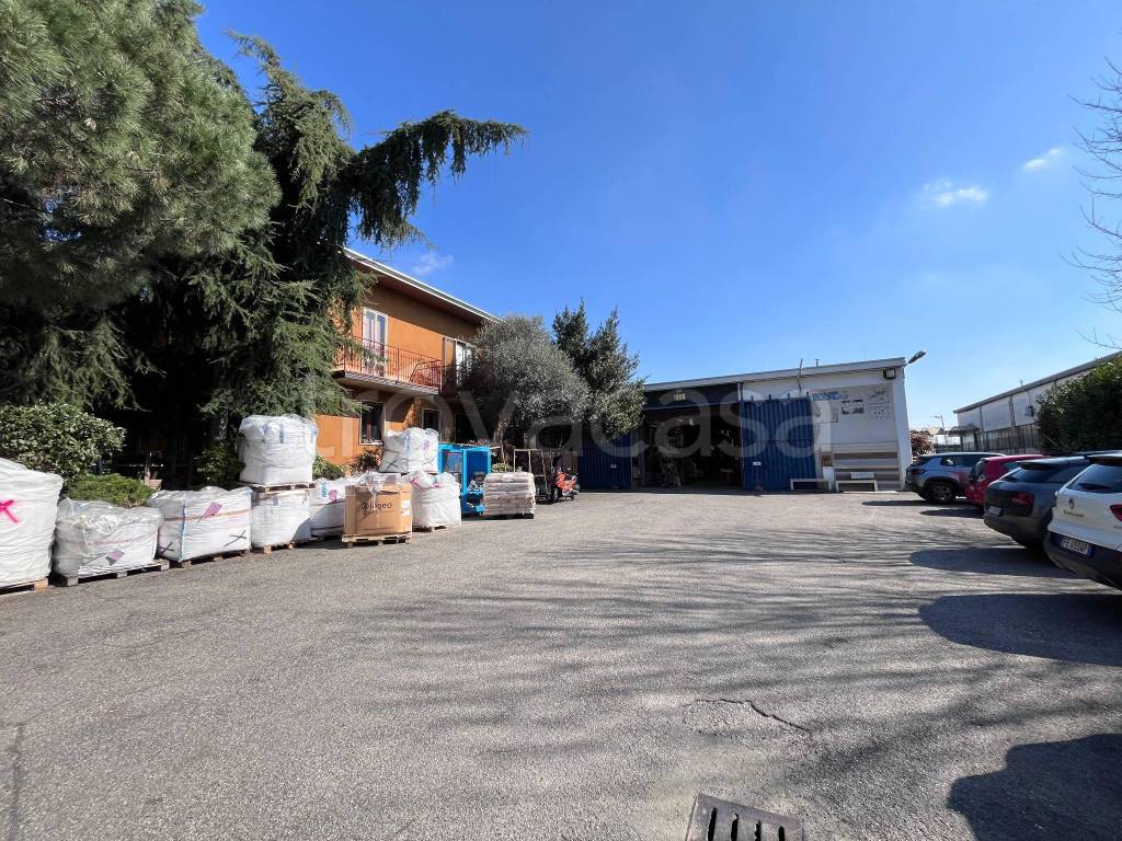 immagine annuncio 3 di 15