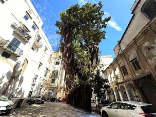 Negozio in affitto a palermo piazza meli, 5