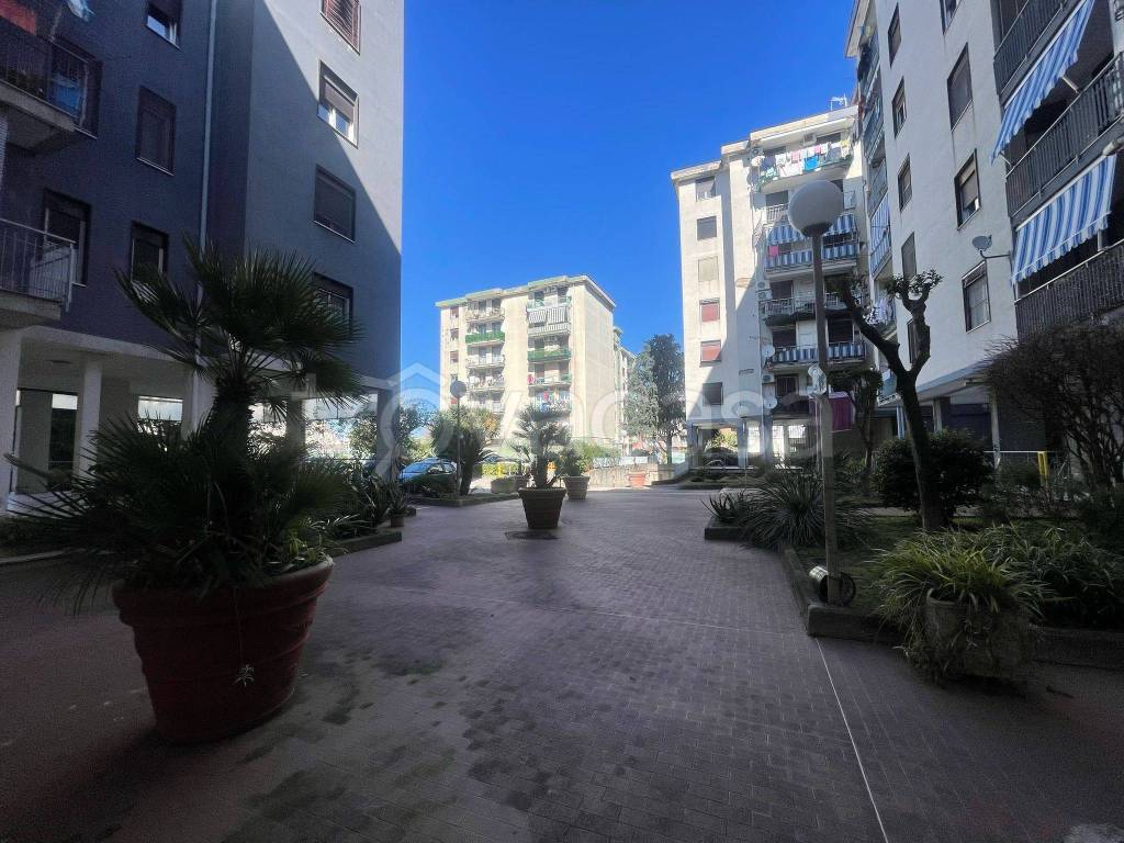 immagine annuncio 12 di 14