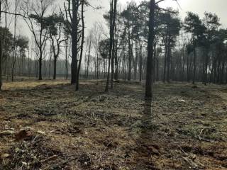 Terreno agricolo in vendita a cardano al campo via per casorate