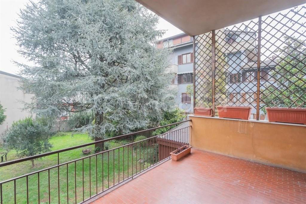 immagine annuncio 11 di 12
