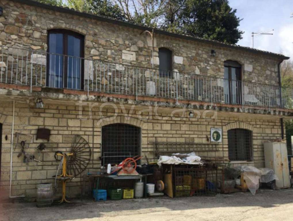immagine annuncio 7 di 11
