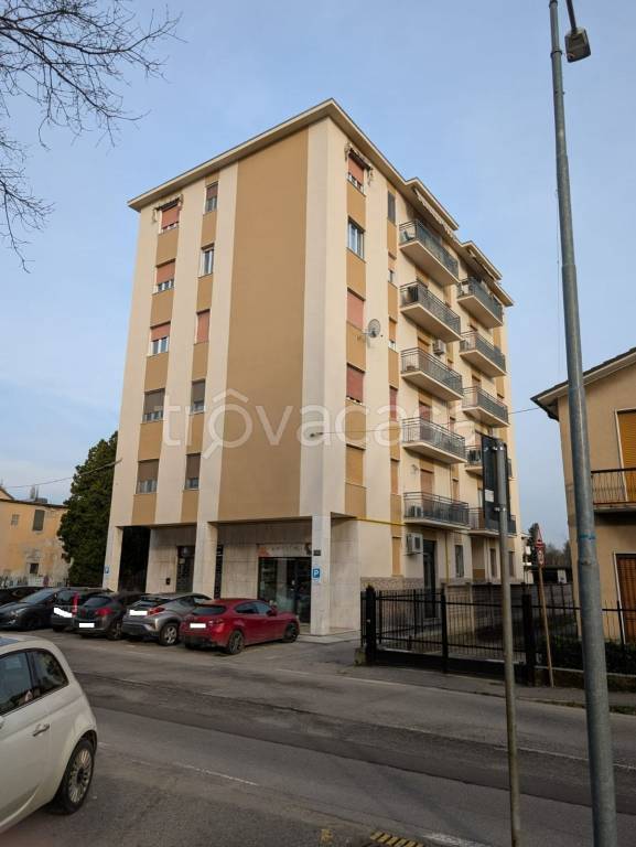 immagine annuncio 7 di 11