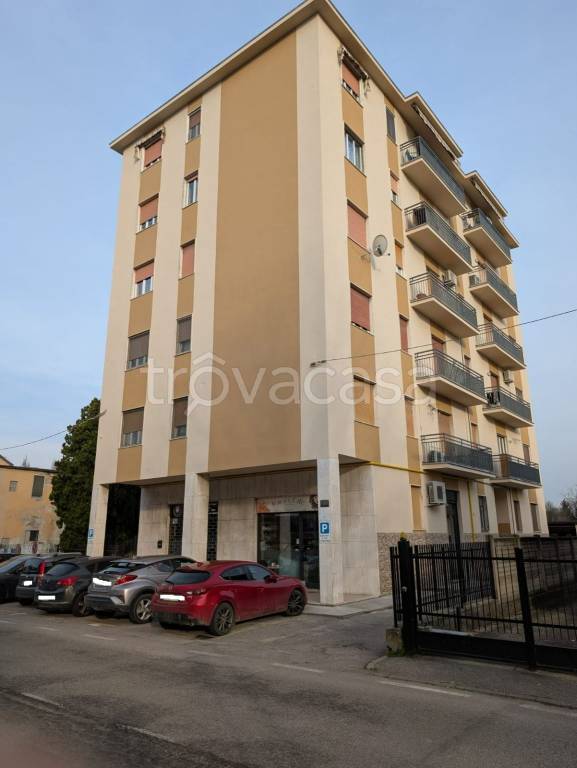 immagine annuncio 9 di 11
