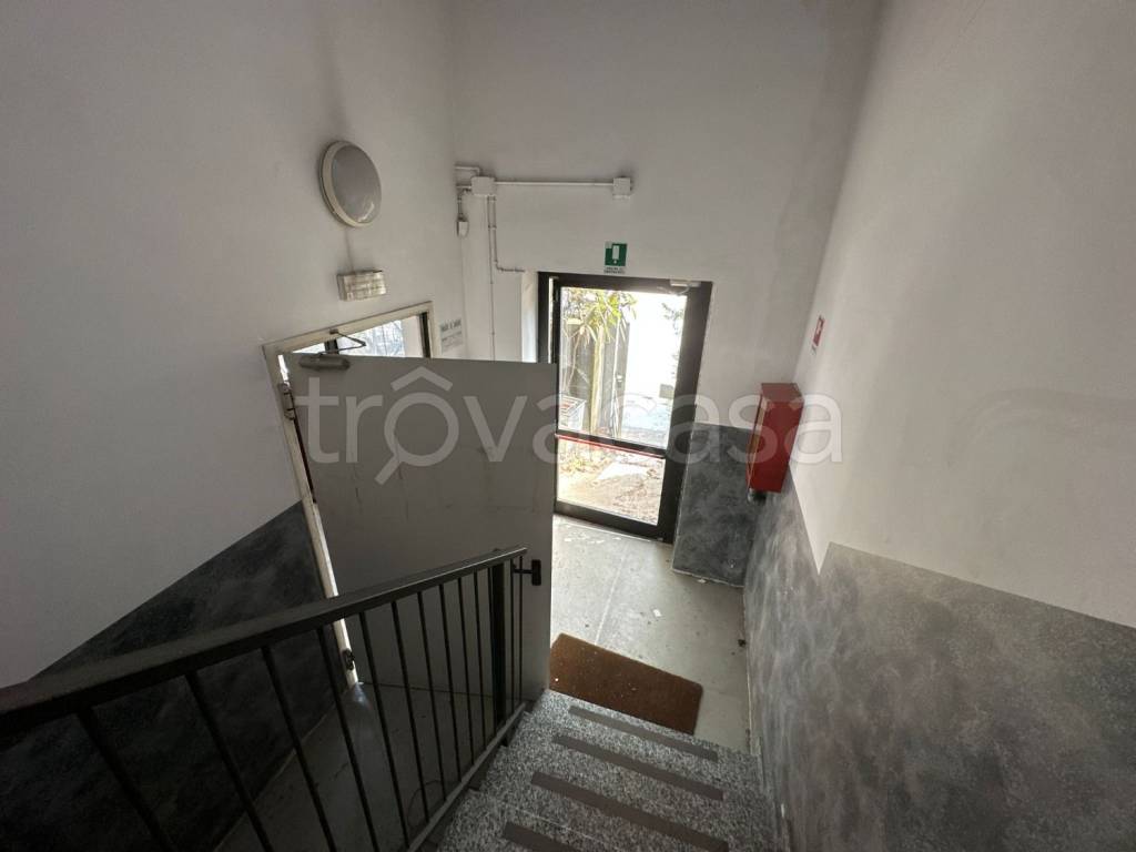 immagine annuncio 8 di 14