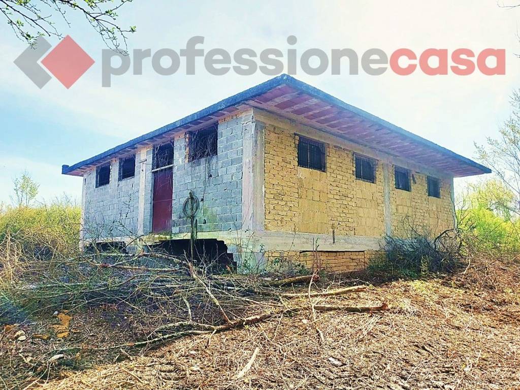 immagine annuncio 2 di 12