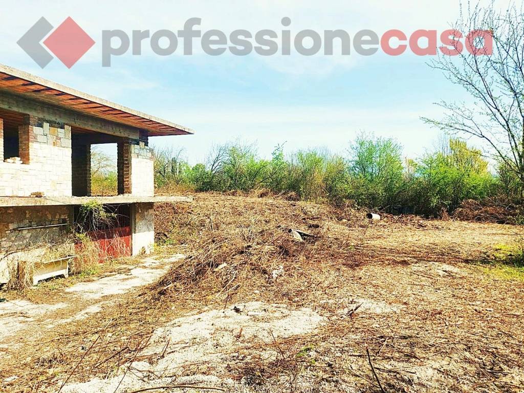 immagine annuncio 3 di 12