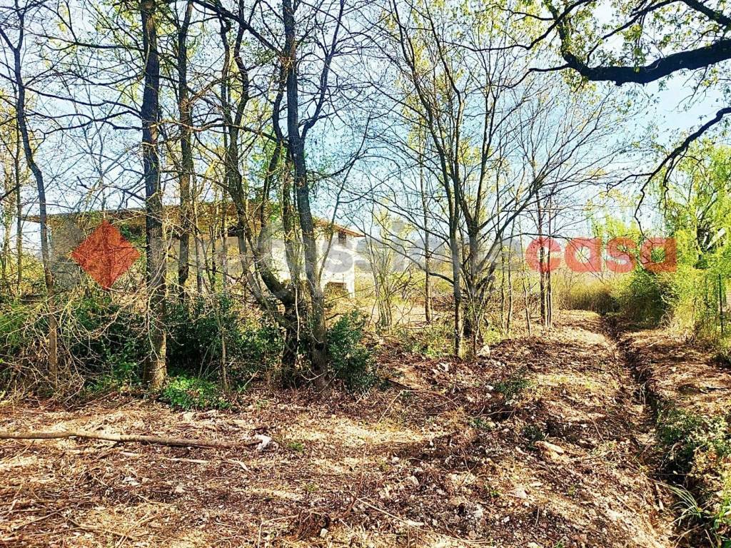 immagine annuncio 7 di 12