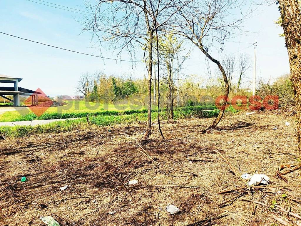 immagine annuncio 11 di 12