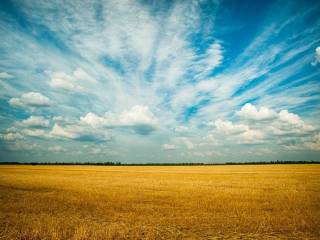 Terreno agricolo in vendita a dolo via rocco chinnici, 4