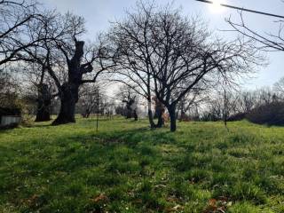 Terreno agricolo in vendita a fabrica di roma localita' campaccio