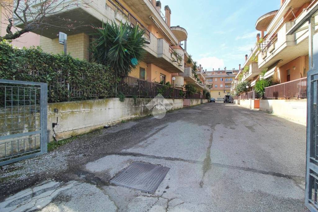 immagine annuncio 9 di 12