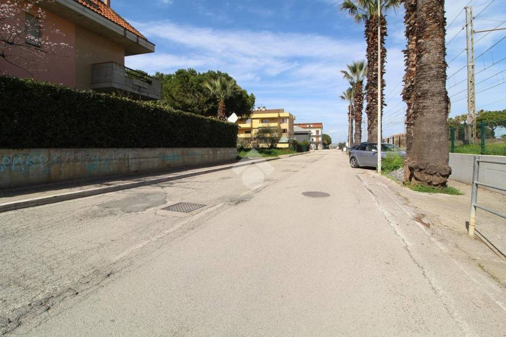 immagine annuncio 11 di 12