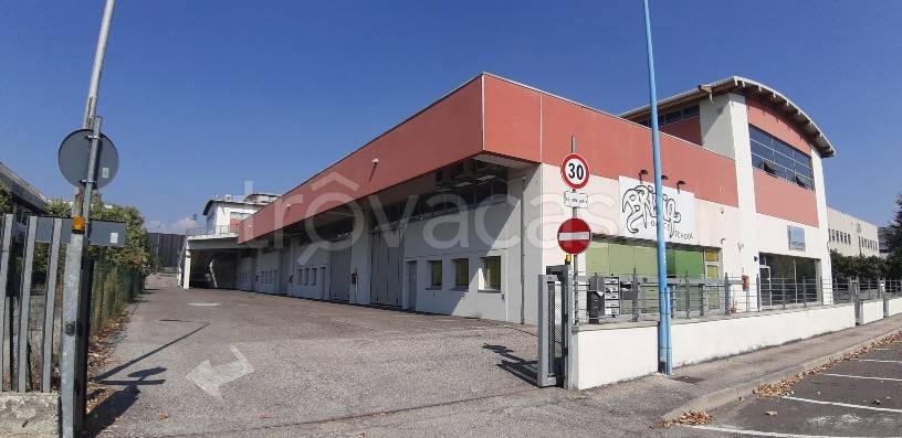 immagine annuncio 10 di 12