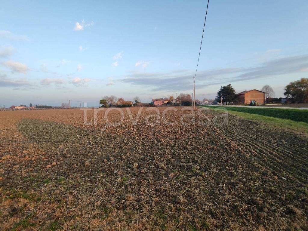 immagine annuncio 6 di 8