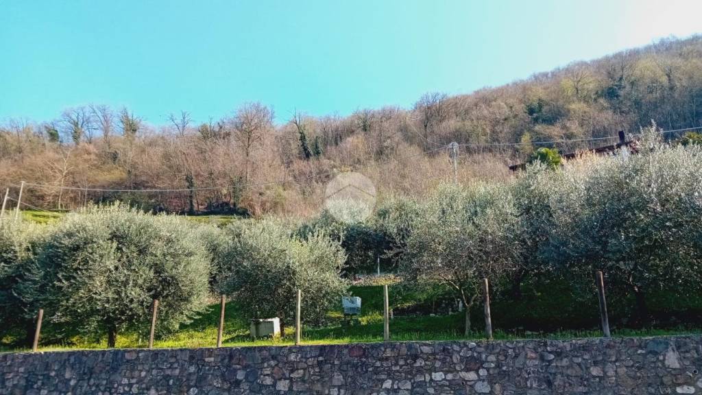 immagine annuncio 2 di 8