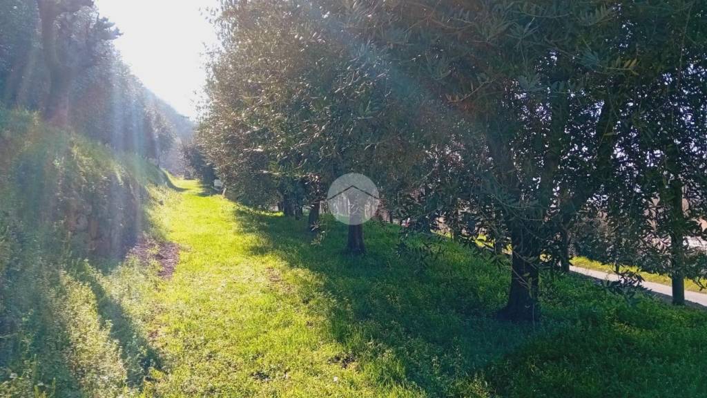 immagine annuncio 7 di 8