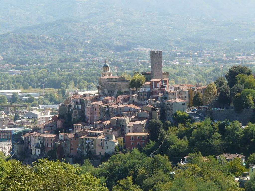 immagine annuncio 9 di 12