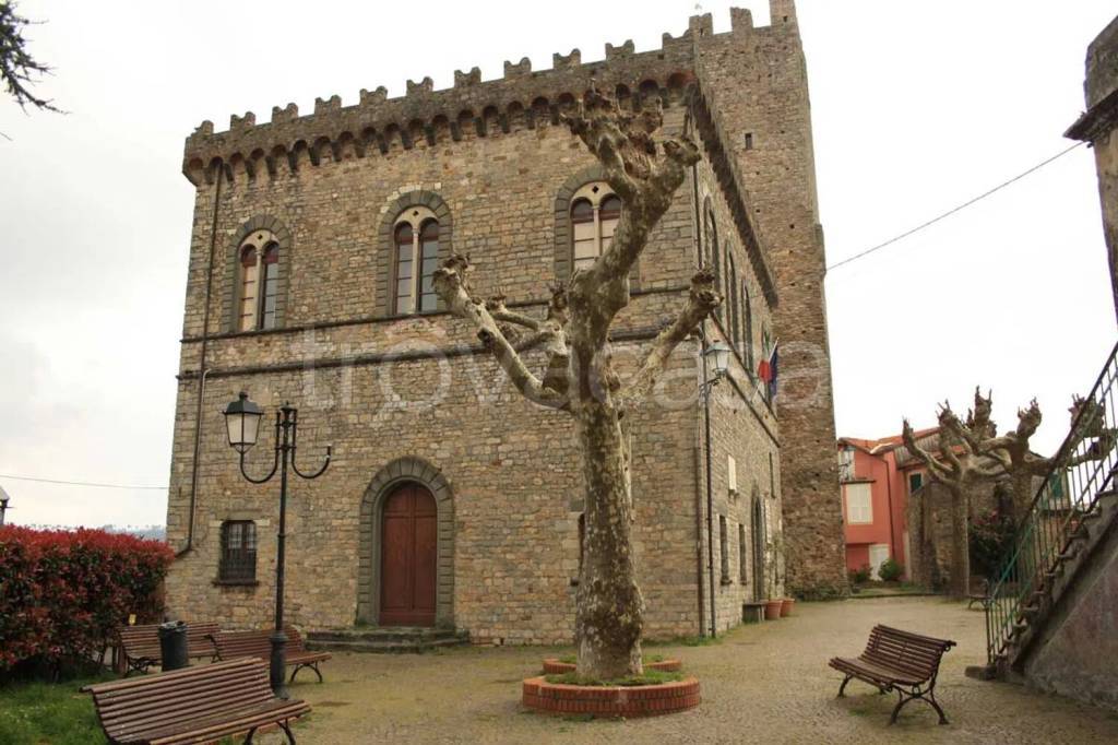 immagine annuncio 10 di 12
