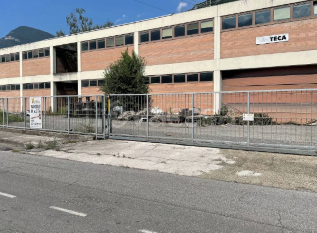 immagine annuncio 6 di 12