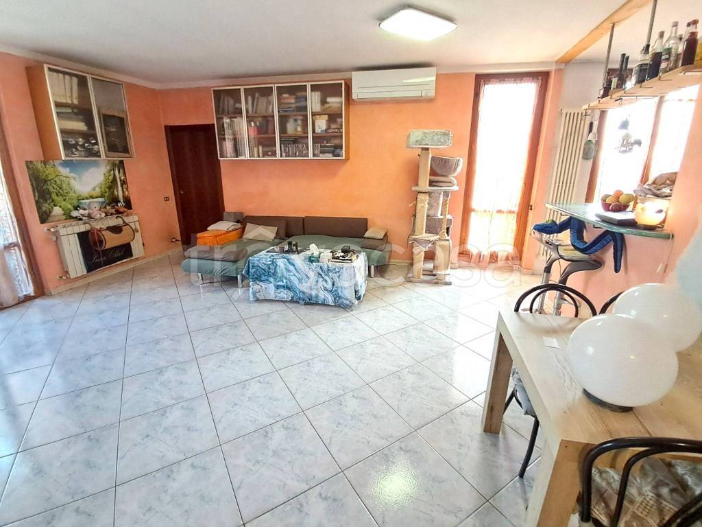 immagine annuncio 1 di 15