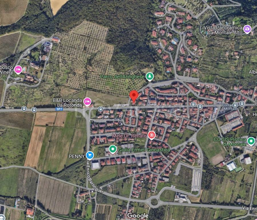 immagine annuncio 3 di 15