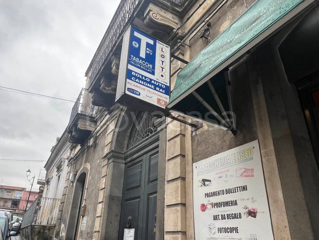 immagine annuncio 5 di 7
