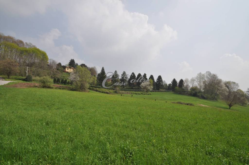 immagine annuncio 3 di 7