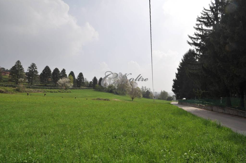 immagine annuncio 4 di 7