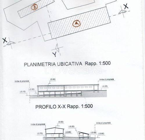 immagine annuncio 2 di 4