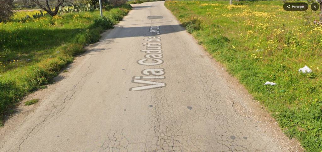 immagine annuncio 6 di 13