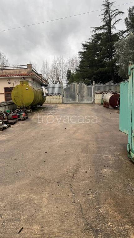 immagine annuncio 10 di 12