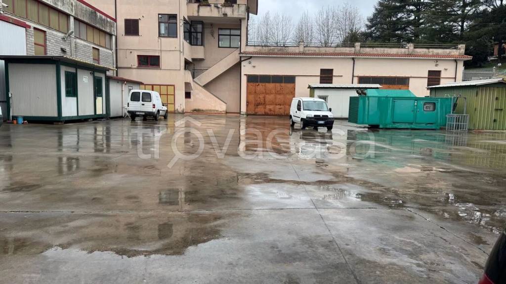 immagine annuncio 4 di 12