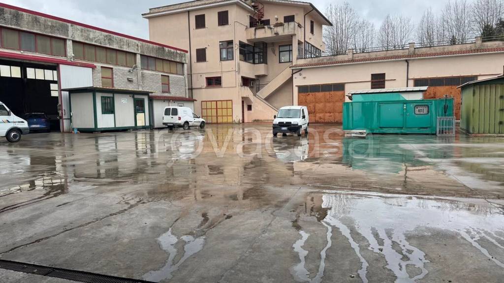 immagine annuncio 2 di 12