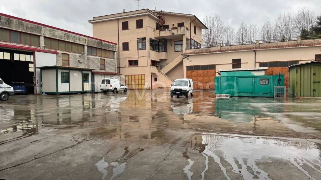 immagine annuncio 1 di 12