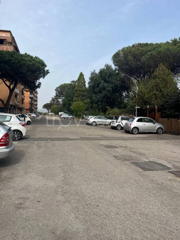 immagine annuncio 10 di 11