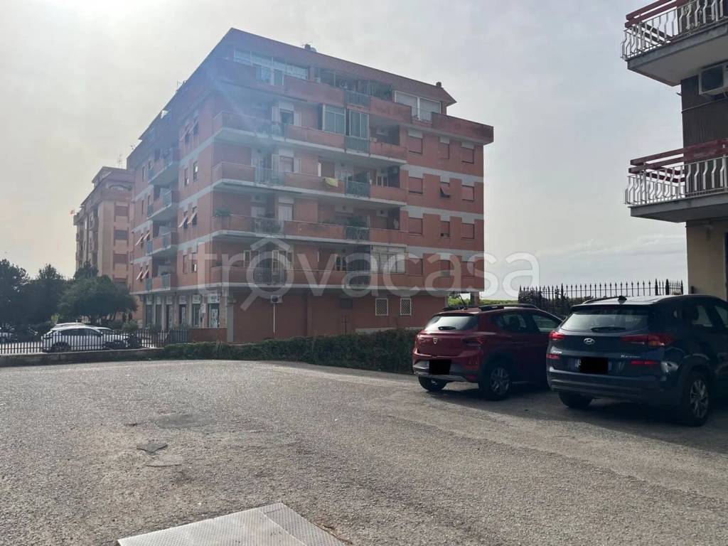 immagine annuncio 9 di 11
