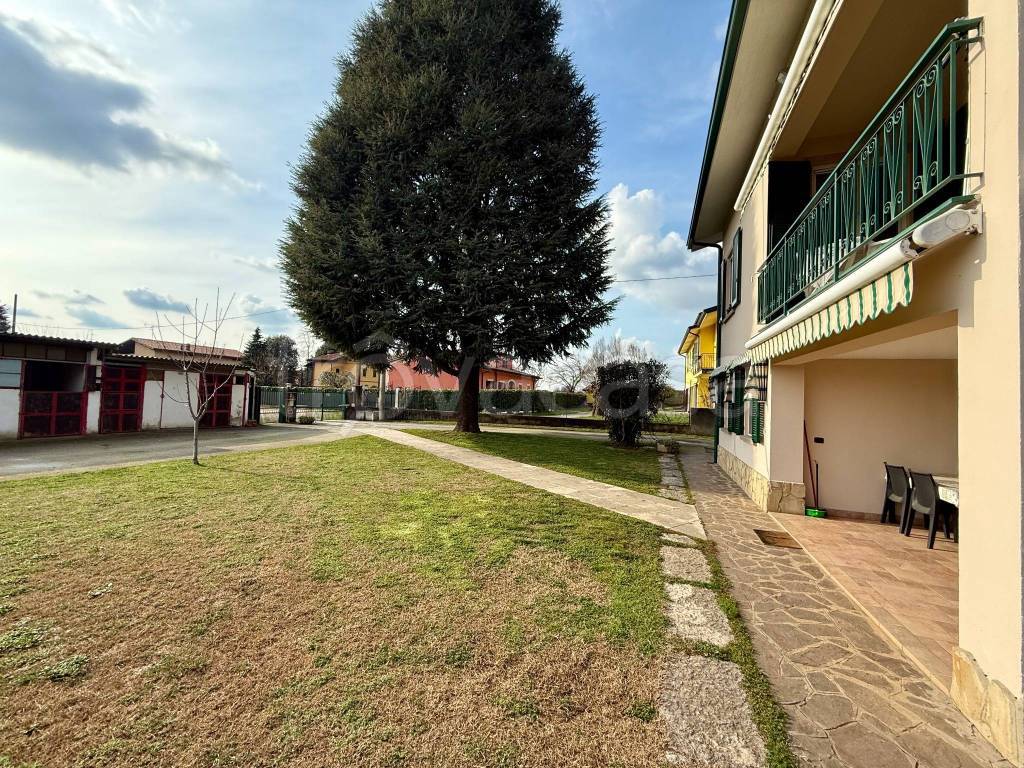 immagine annuncio 8 di 15
