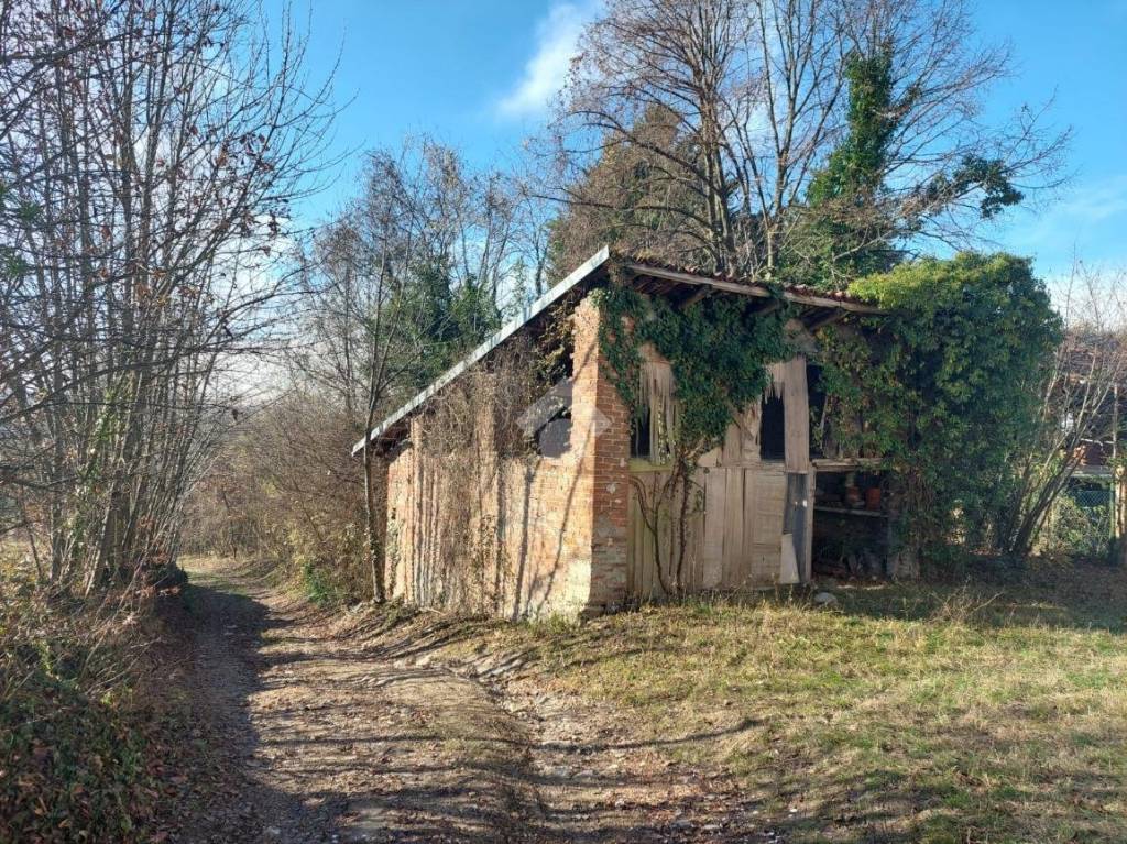 immagine annuncio 11 di 15