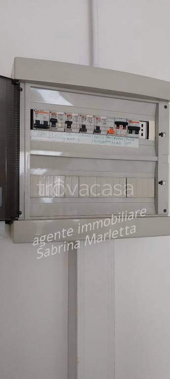 immagine annuncio 7 di 14