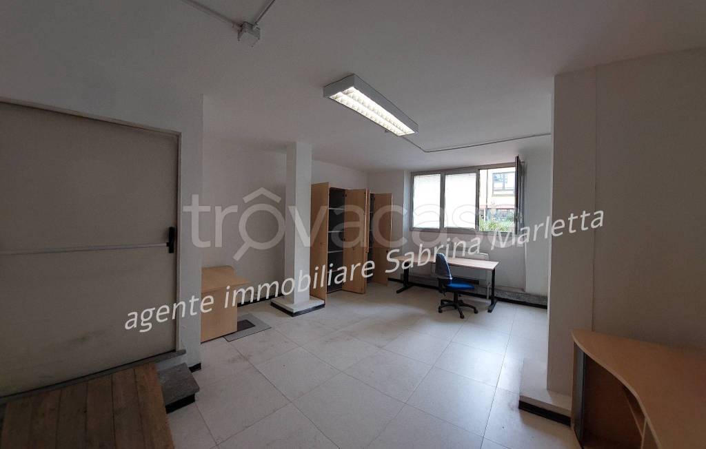 immagine annuncio 1 di 14