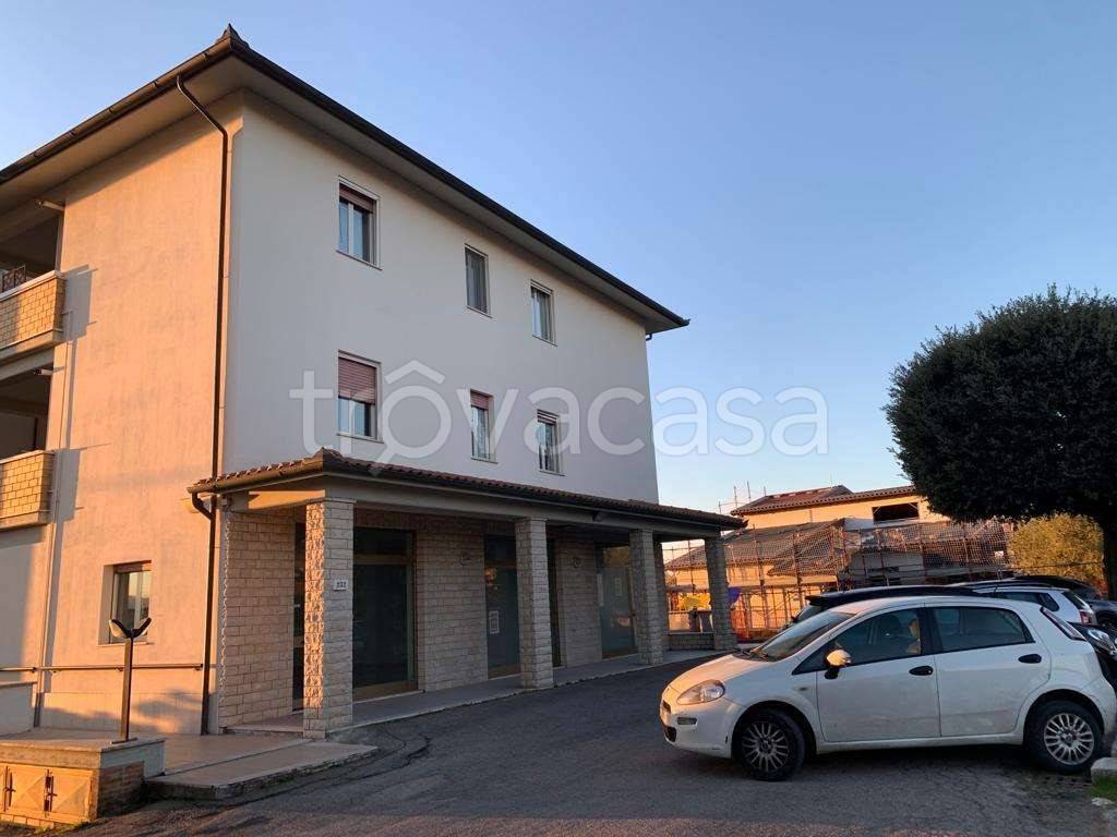 immagine annuncio 7 di 14