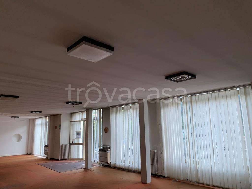 immagine annuncio 4 di 7