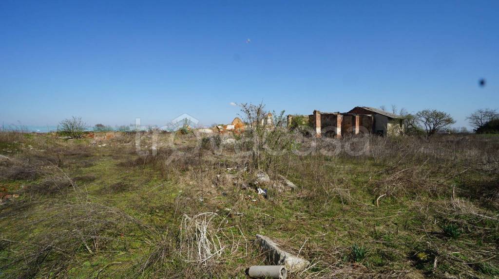 immagine annuncio 4 di 7