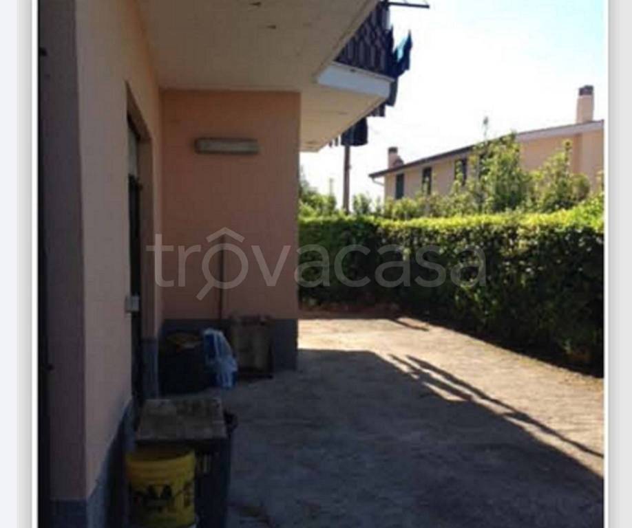 immagine annuncio 7 di 11