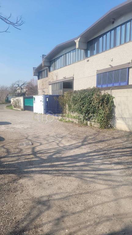 immagine annuncio 12 di 13
